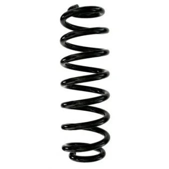 Ressort de suspension SPIDAN 87911