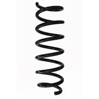 Ressort de suspension SPIDAN 87915