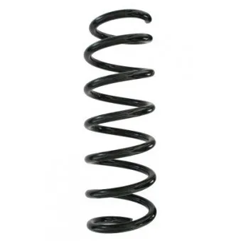Ressort de suspension SPIDAN 87918