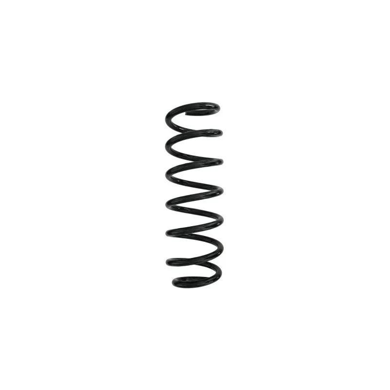 Ressort de suspension SPIDAN 87919