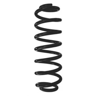 Ressort de suspension SPIDAN 87920
