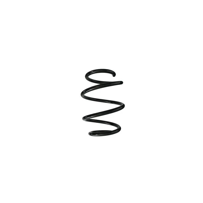 Ressort de suspension SPIDAN 87928