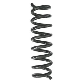 Ressort de suspension SPIDAN 87935