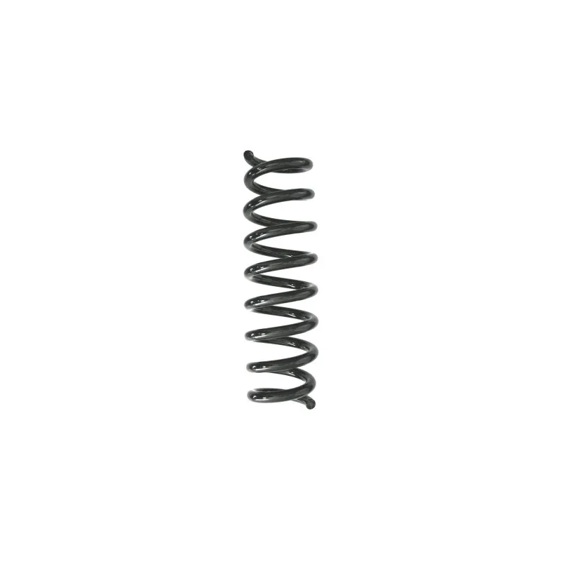 Ressort de suspension SPIDAN 87935