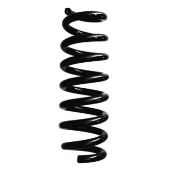 Ressort de suspension SPIDAN 87936