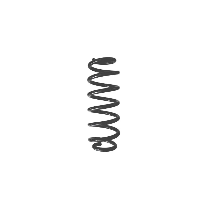 Ressort de suspension SPIDAN 87939