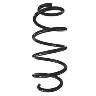 Ressort de suspension SPIDAN 87941