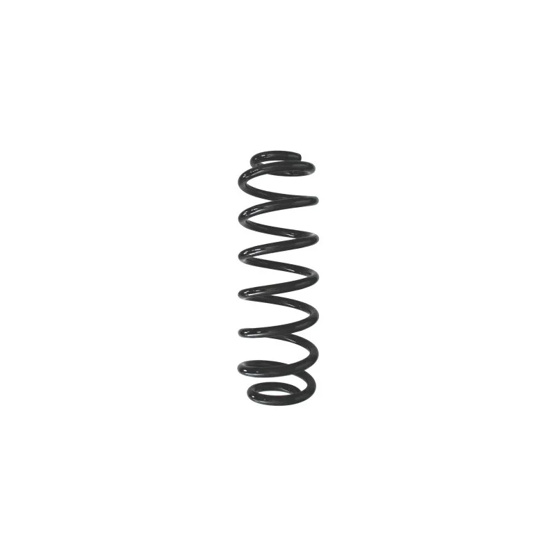 Ressort de suspension SPIDAN 87947