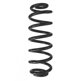 Ressort de suspension SPIDAN 87948