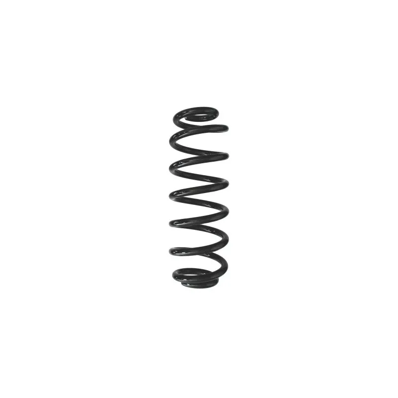 Ressort de suspension SPIDAN 87948