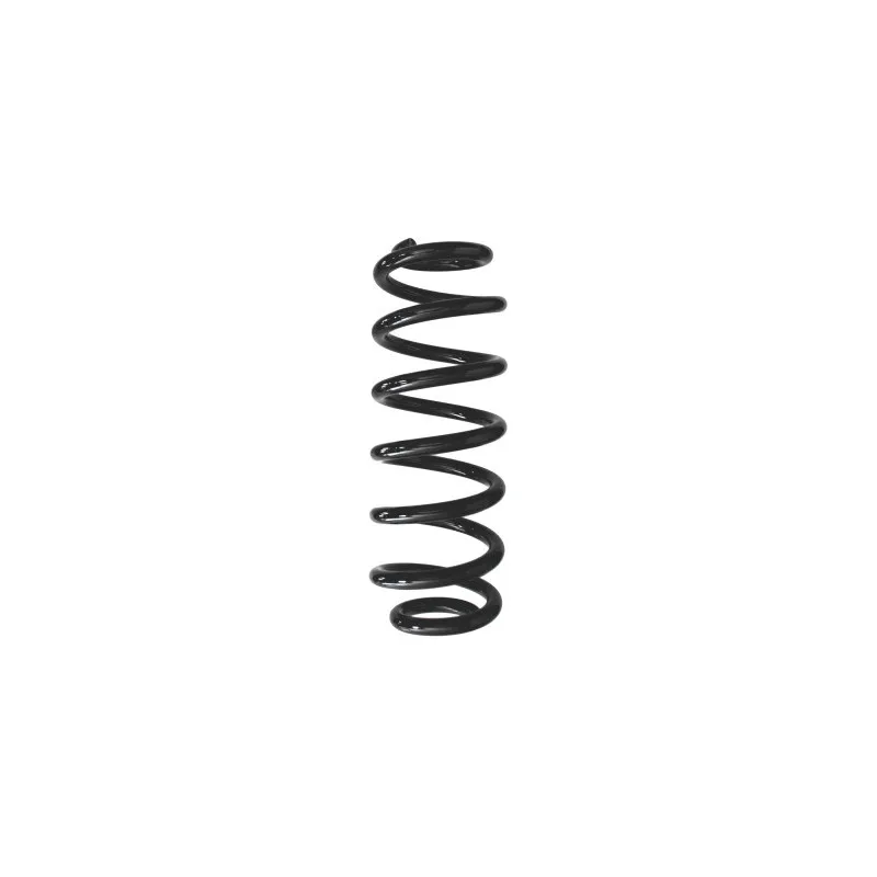 Ressort de suspension SPIDAN 87950