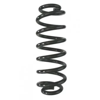 Ressort de suspension SPIDAN 87951