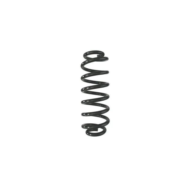 Ressort de suspension SPIDAN 87951