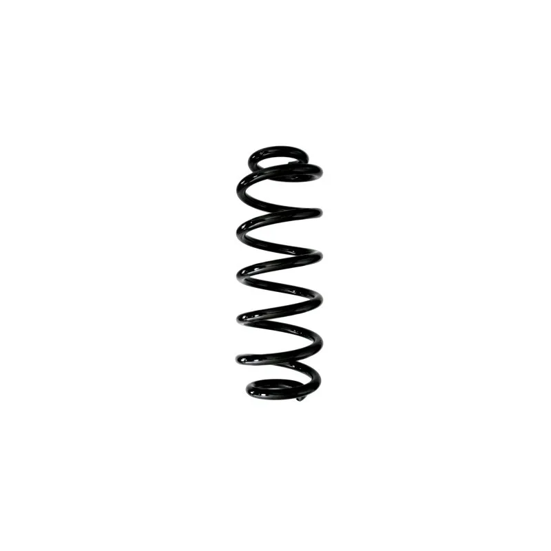 Ressort de suspension SPIDAN 87952