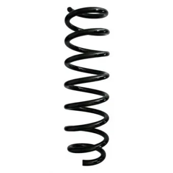 Ressort de suspension SPIDAN 87957