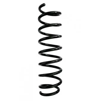 Ressort de suspension SPIDAN 87961