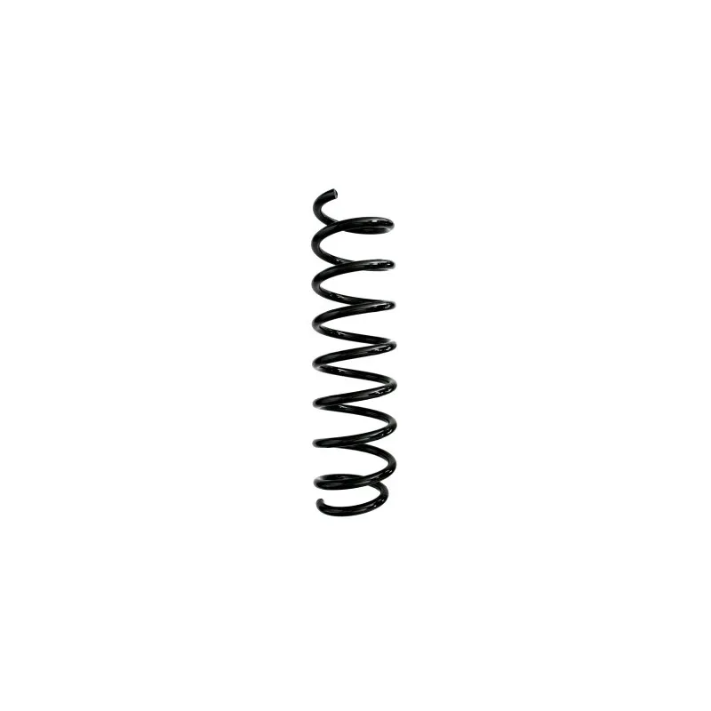 Ressort de suspension SPIDAN 87961