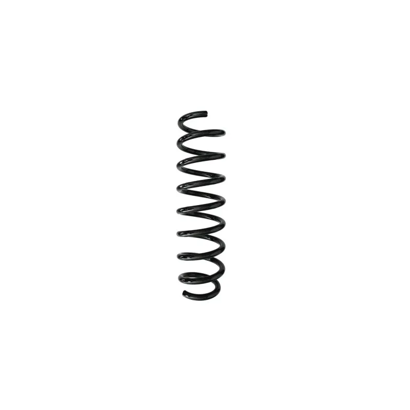 Ressort de suspension SPIDAN 87963