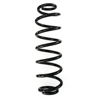 Ressort de suspension SPIDAN 87967