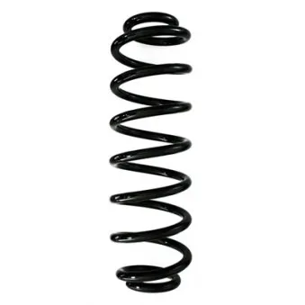 Ressort de suspension SPIDAN 87971