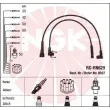 Kit de câbles d'allumage NGK 44306 - Visuel 1