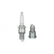 Bougie d'allumage NGK 7529 - Visuel 1