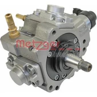 Pompe à haute pression METZGER 0830010
