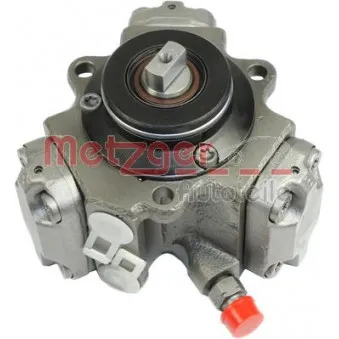 Pompe à haute pression METZGER 0830012
