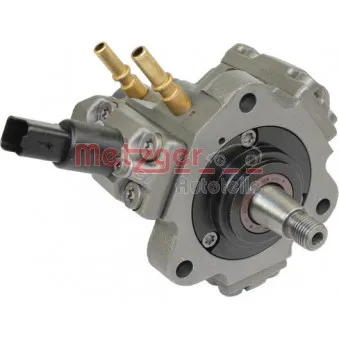 Pompe à haute pression METZGER 0830032