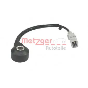 Capteur de cognement METZGER