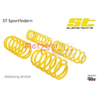 Jeu de suspensions, ressorts METZGER