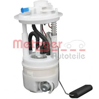 Unité d'injection de carburant METZGER 2250049