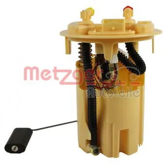 Unité d'injection de carburant METZGER 2250060