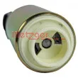 Pompe à carburant METZGER 2250160 - Visuel 3