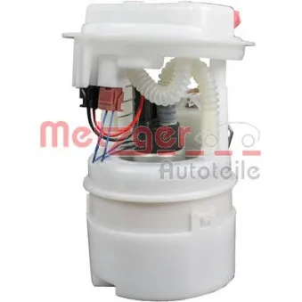 Unité d'injection de carburant METZGER 2250171