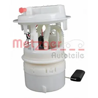 Unité d'injection de carburant METZGER 2250184
