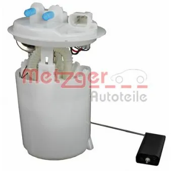 Unité d'injection de carburant METZGER 2250185