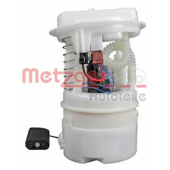 Unité d'injection de carburant METZGER 2250186