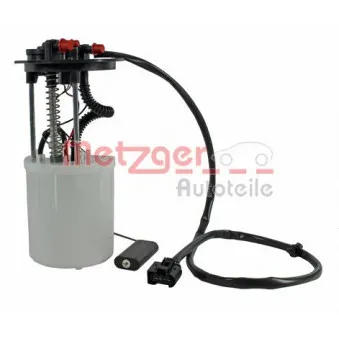 Unité d'injection de carburant METZGER 2250192