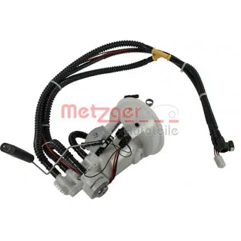 Unité d'injection de carburant METZGER 2250211