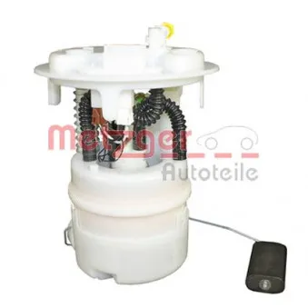 Unité d'injection de carburant METZGER 2250238