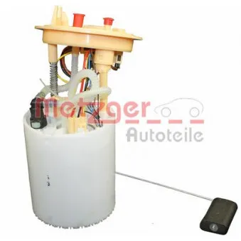 Unité d'injection de carburant METZGER 2250246