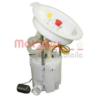 Unité d'injection de carburant METZGER 2250250