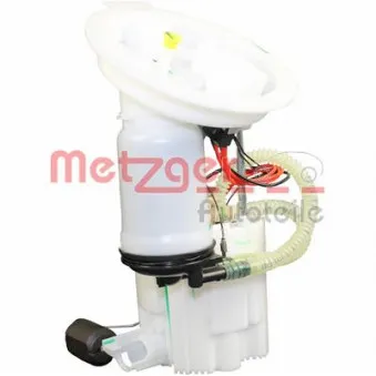 Unité d'injection de carburant METZGER 2250256