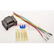 Kit de montage, kit de câbles METZGER 2323010 - Visuel 1