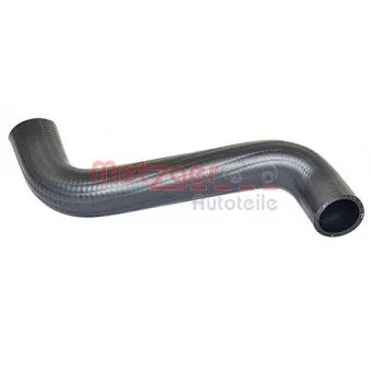 Durite de radiateur METZGER 2420124