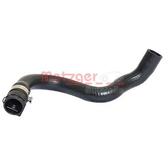 Durite de radiateur METZGER 2420177