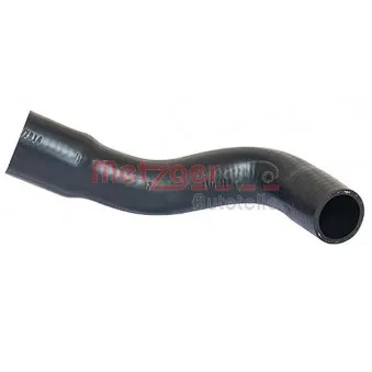 Durite de radiateur METZGER 2420205
