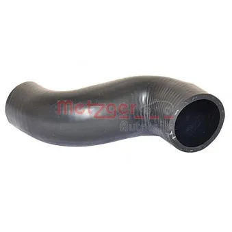 Durite de radiateur METZGER 2420208