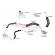 Durite de radiateur METZGER 2420230 - Visuel 2